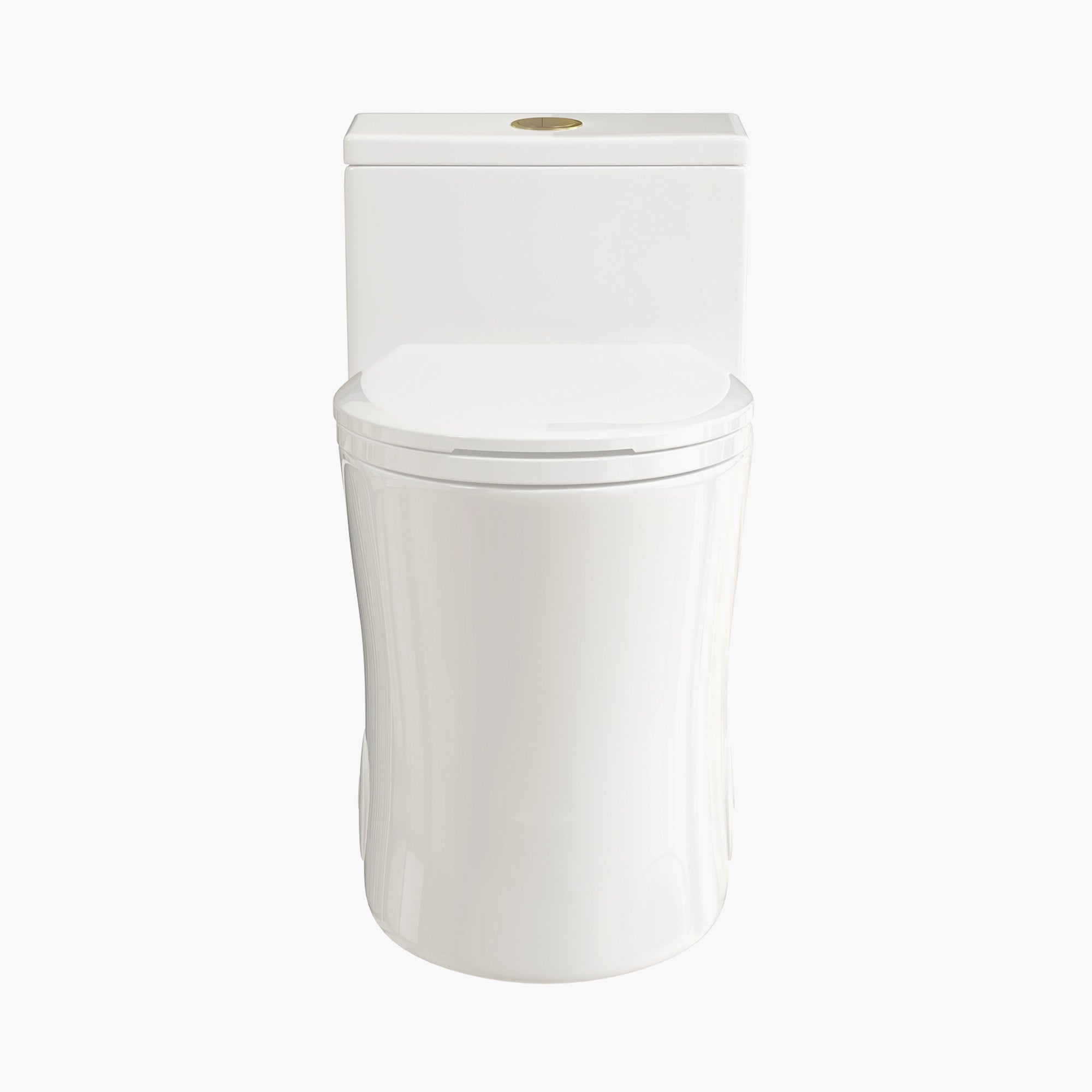 HOROW Elongated Dual Flush One Piece Toilet ADA Floor Mounted Toilet Model T0338W-G