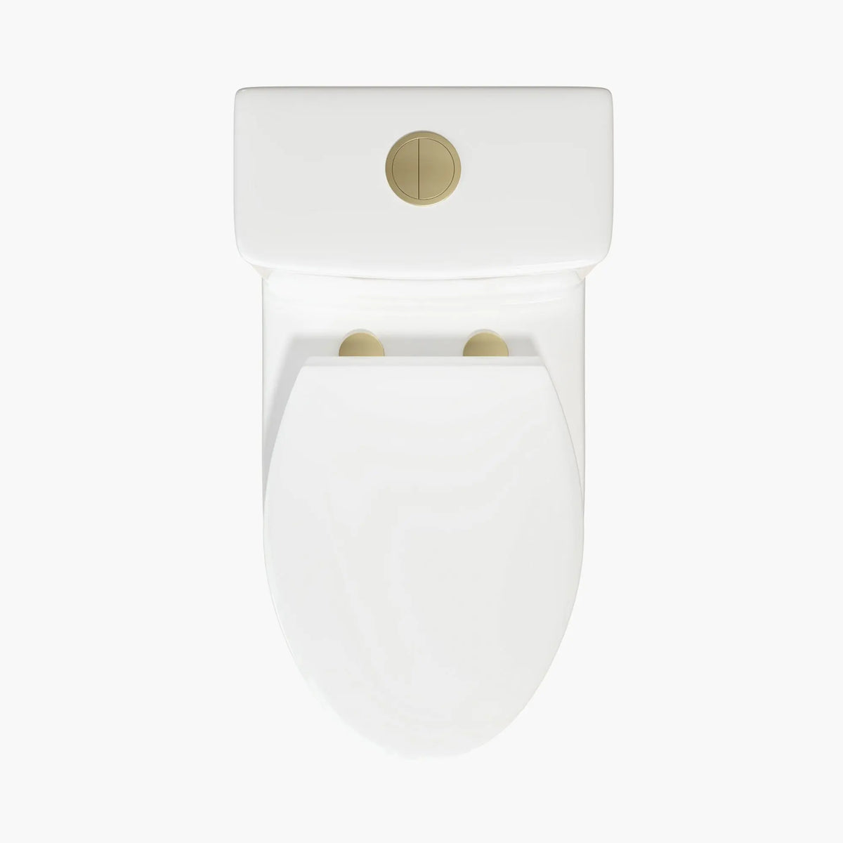 HOROW 12 Inch Modern Floor Mounted Toilet Luxury Toilet Design Model T0337W-G HOROW