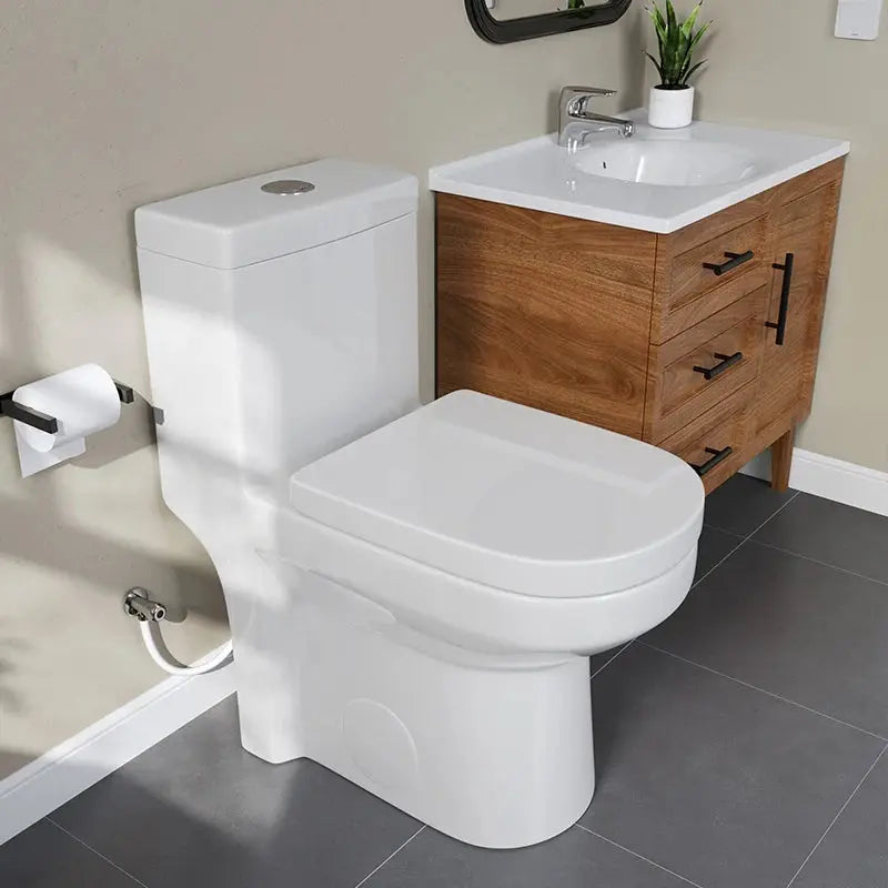 HOROW Small Toilet 1.28 GPF 10 Inch Rough In Toilet Model 8733-10 HOROW