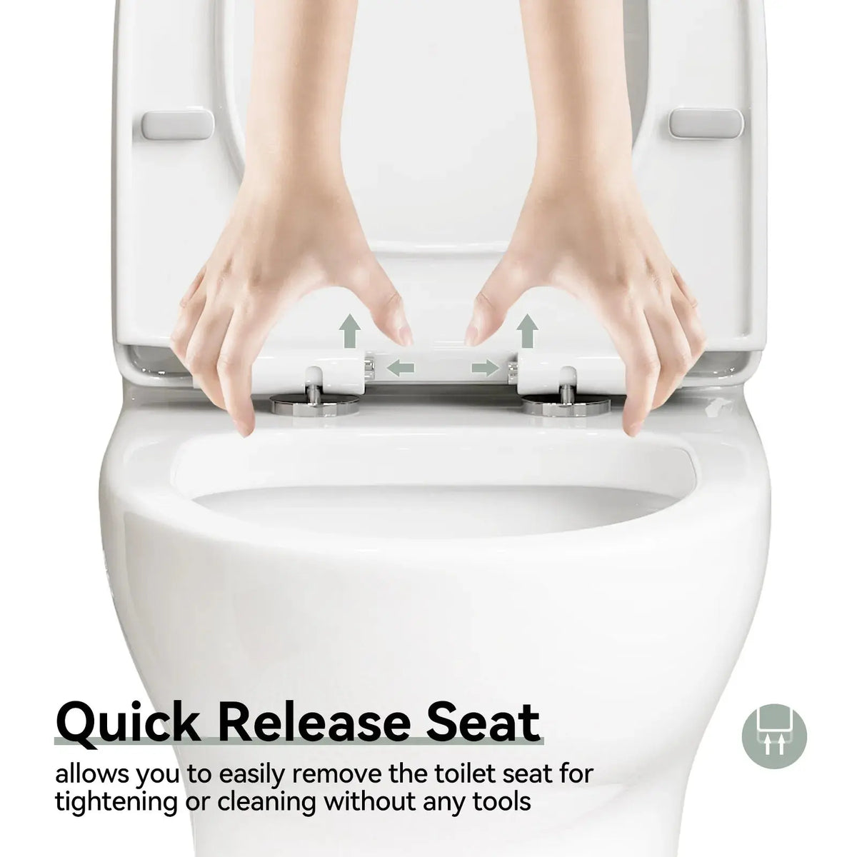 HOROW Dual Flush Toilet 12 Inch Rough In Toilet Model 76D HOROW