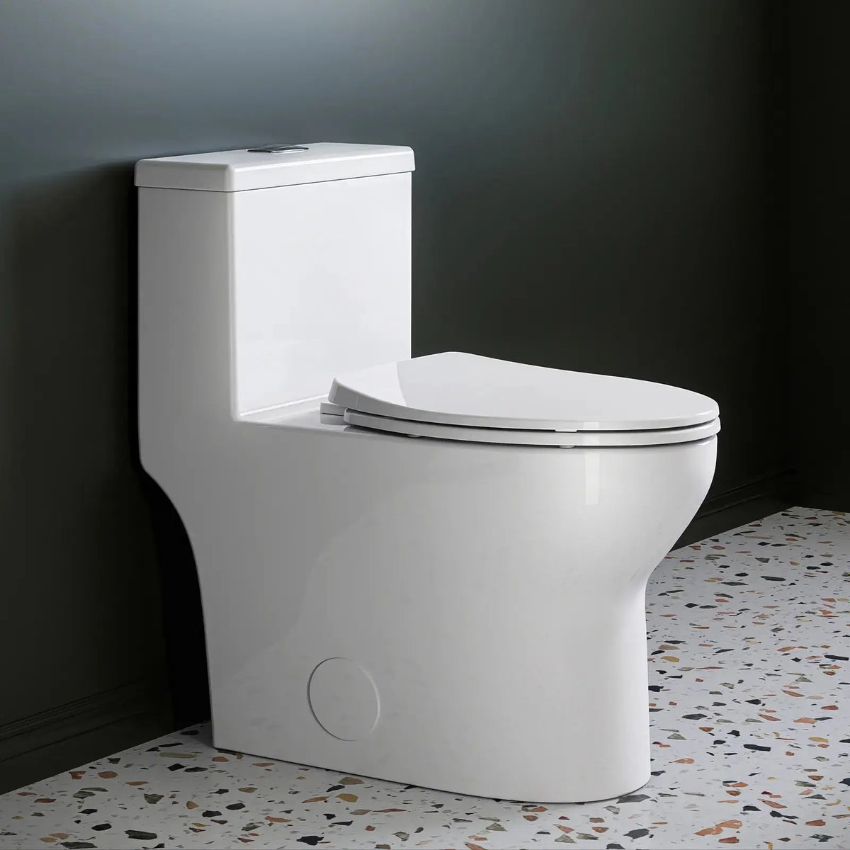 HOROW One Piece Toilet ADA Toilet Height 17.3 Inch Model T0350W HOROW