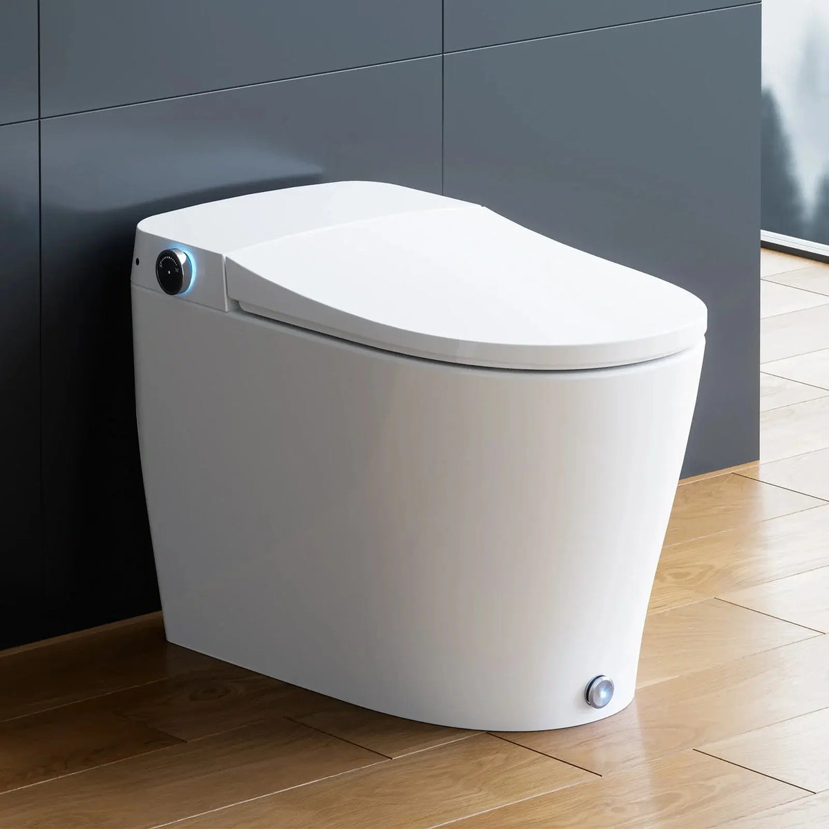 HOROW Best Bidet Toilet Combo Heated Toilet Seat Elongated Model T05 HOROW