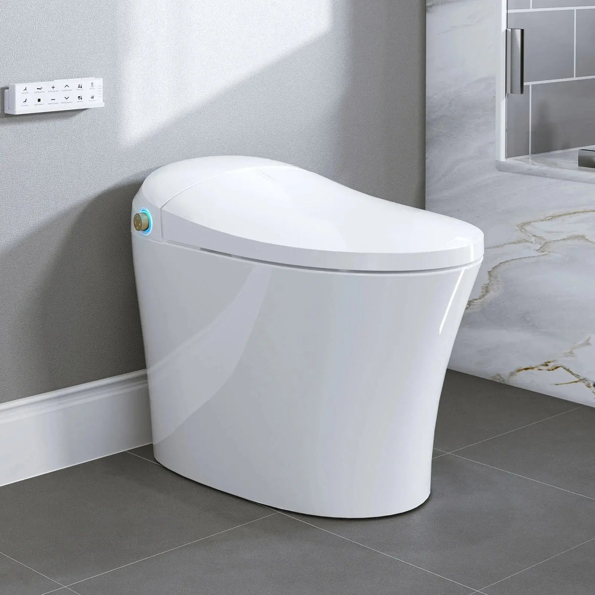 HOROW Best Bidet Toilet Automatic Flush Toilet Model T20 HOROW