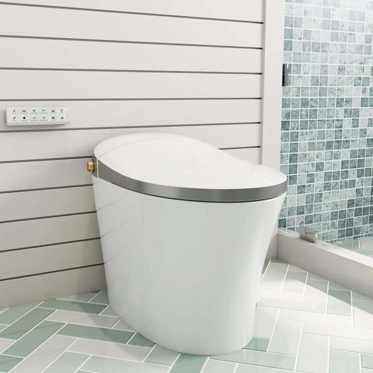 HOROW Best Smart Toilet Warm Water Bidet Toilet Model T20Y HOROW