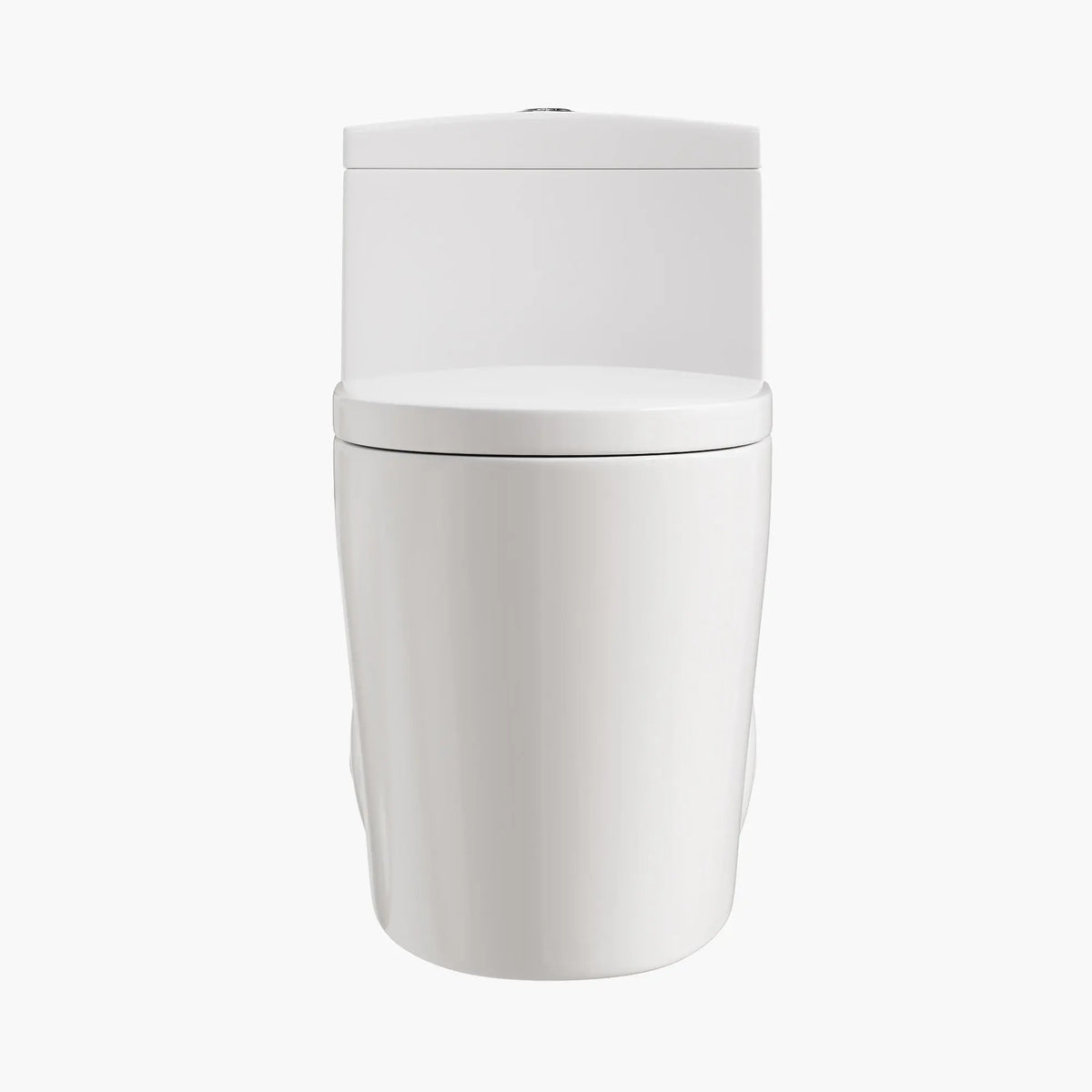 HOROW Compact Elongated Toilet One Piece Dual Flush 1.1 OR 1.6 GPF Toilet Model T0280W HOROW
