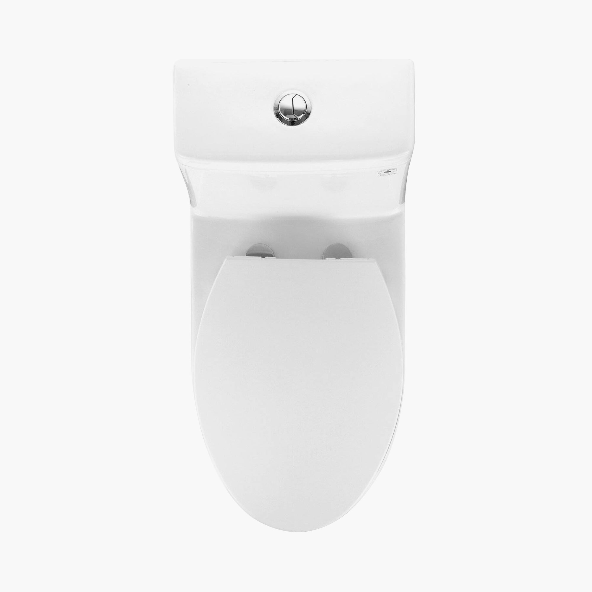 HOROW 12 Inch Rough In Toilet Dual Flush Elongated One Piece Toilet Model T0337W