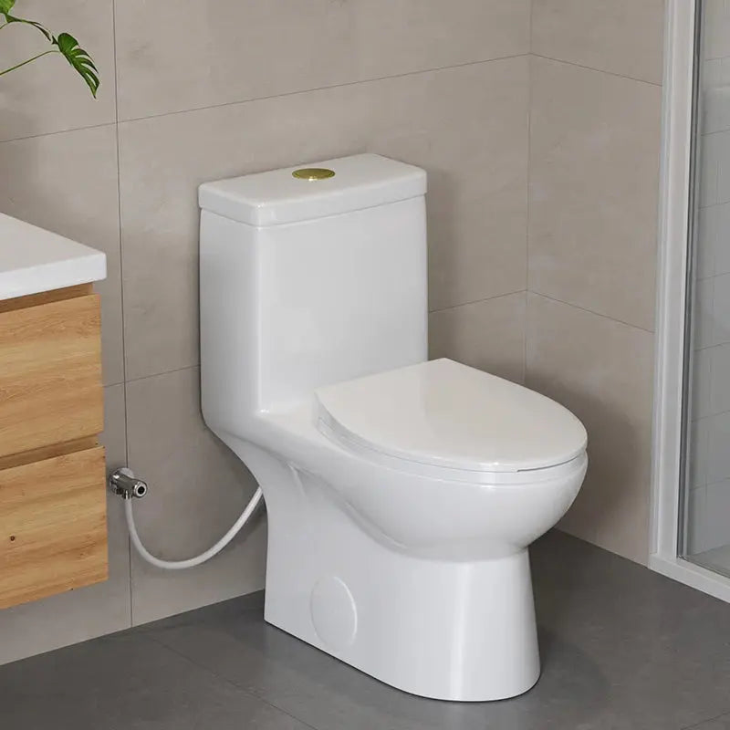 HOROW 12 Inch Modern Floor Mounted Toilet Luxury Toilet Design Model T0337W-G HOROW