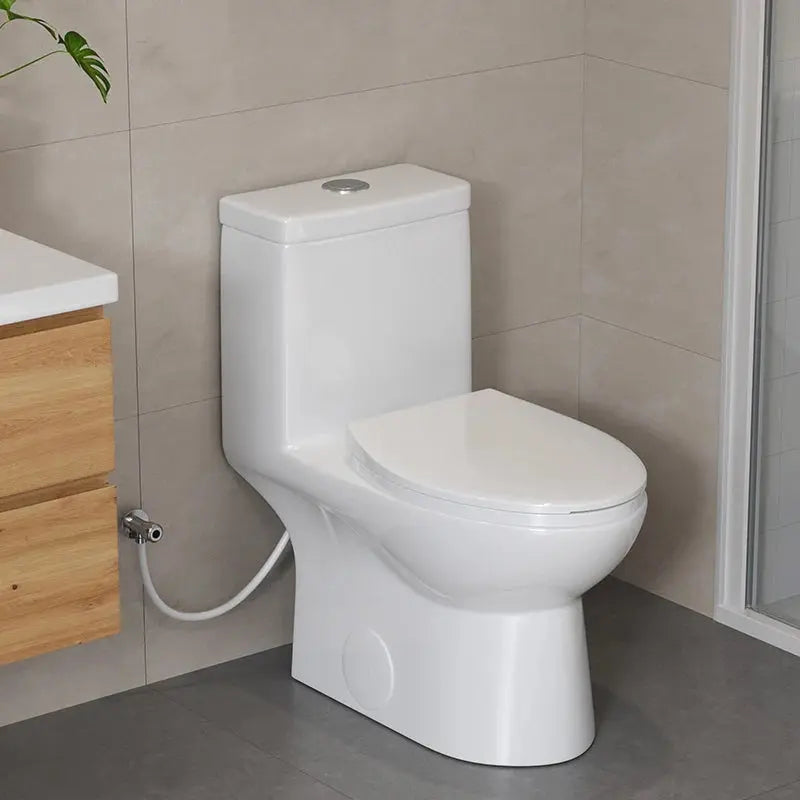 HOROW 12 Inch Rough In Toilet Dual Flush Elongated One Piece Toilet Model T0337W HOROW