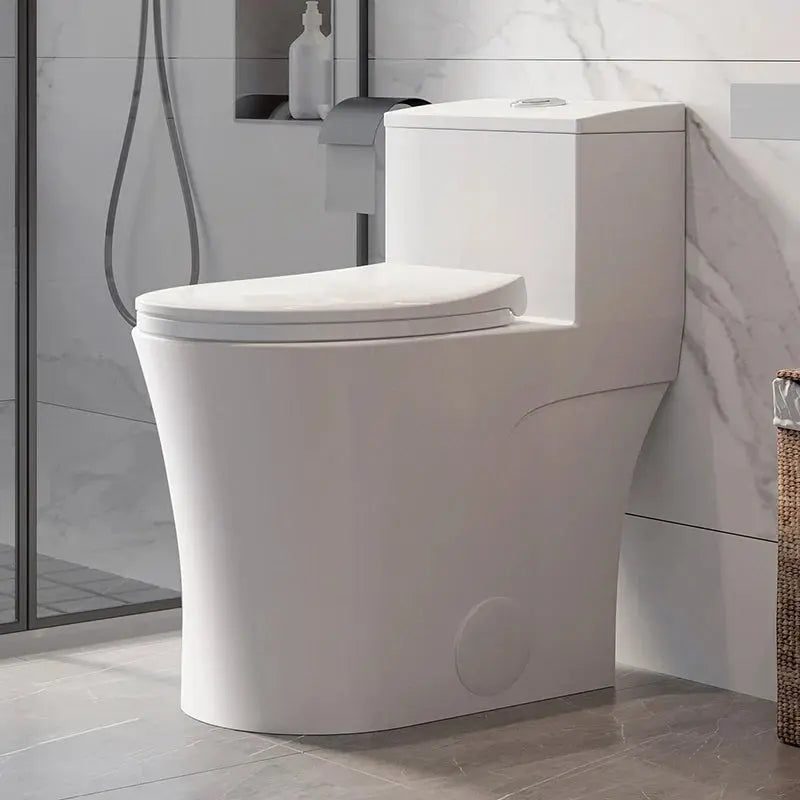HOROW 10 Inch Rough Toilet Bowl Elongated One Piece Toilet Model T0338W-10 HOROW
