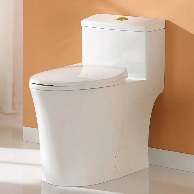 HOROW Elongated Dual Flush One Piece Toilet ADA Floor Mounted Toilet Model T0338W-G HOROW