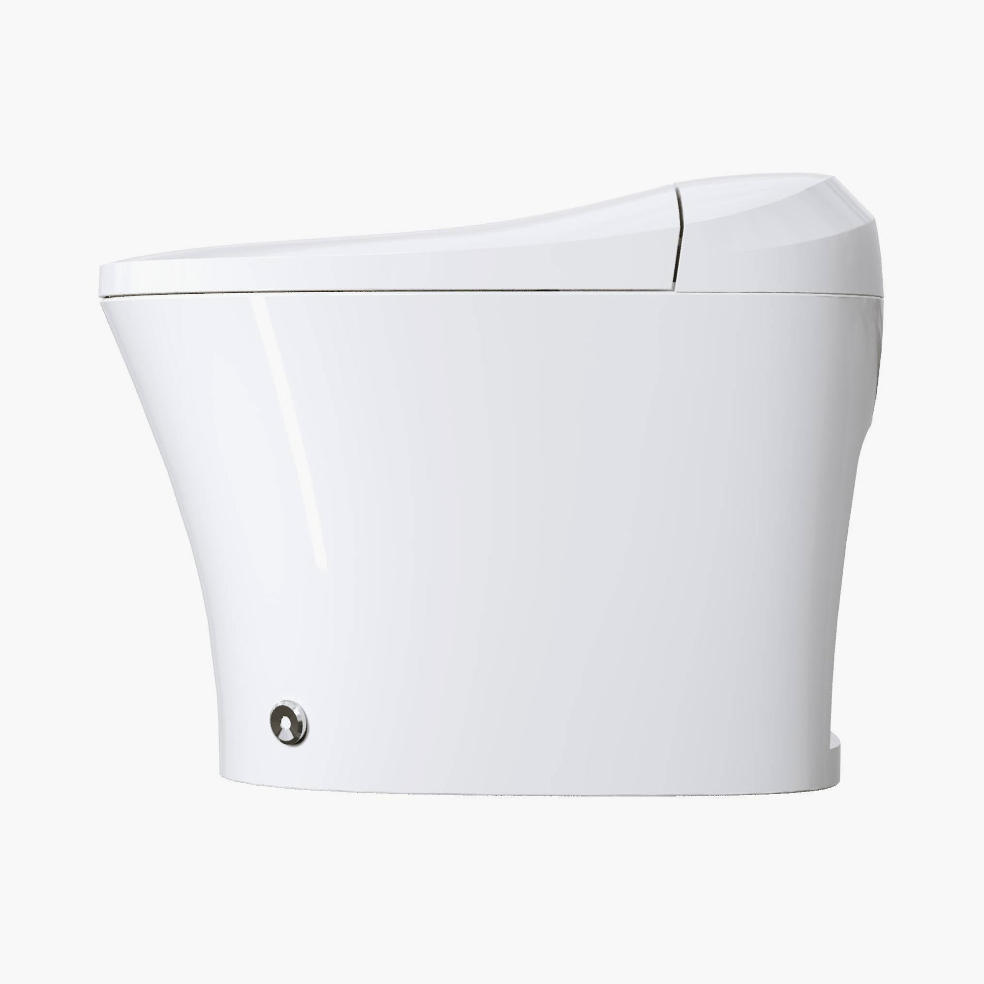 12 Inch Rough In Bidet Toilet with Automatic Flush Model T15
