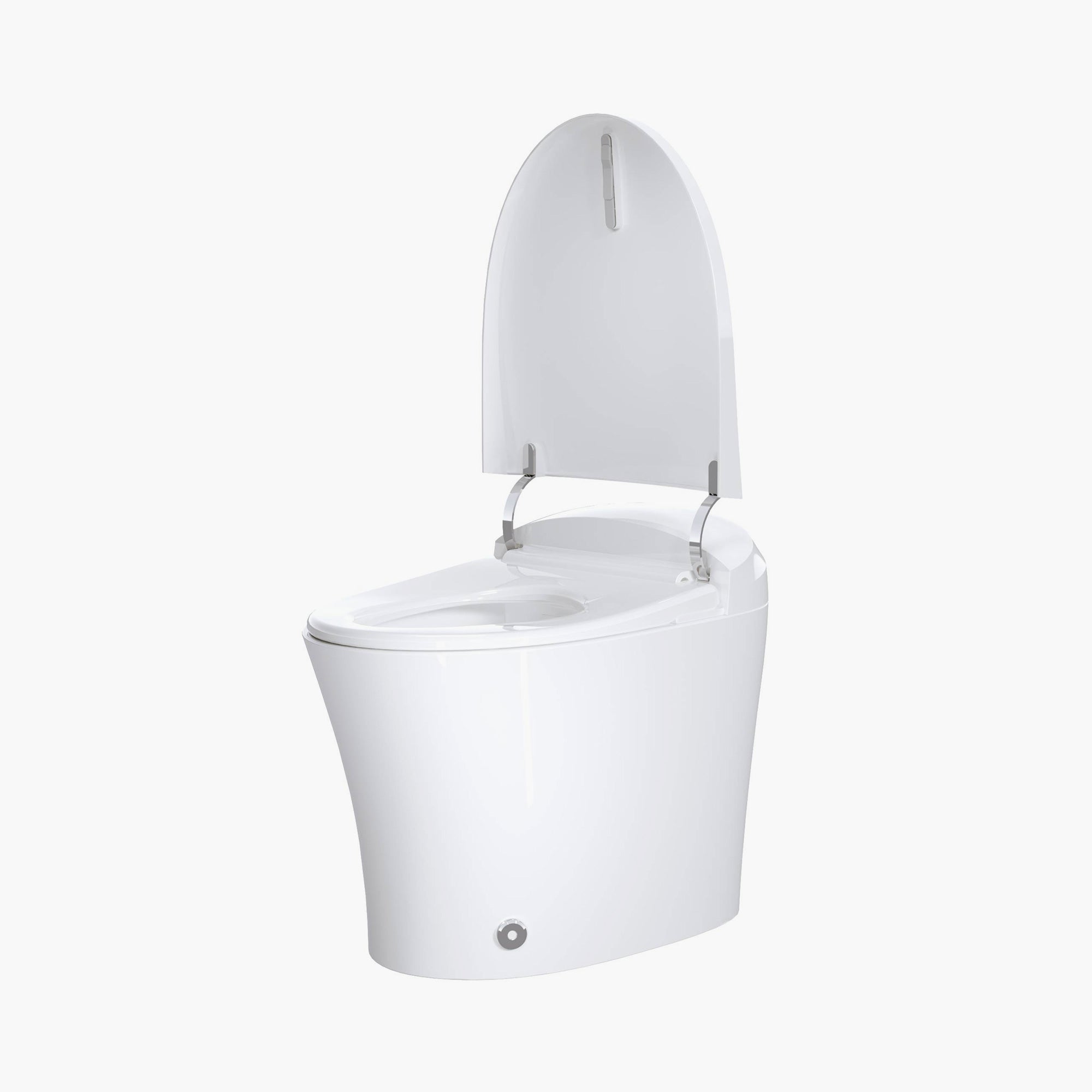 12 Inch Rough In Bidet Toilet with Automatic Flush Model T15