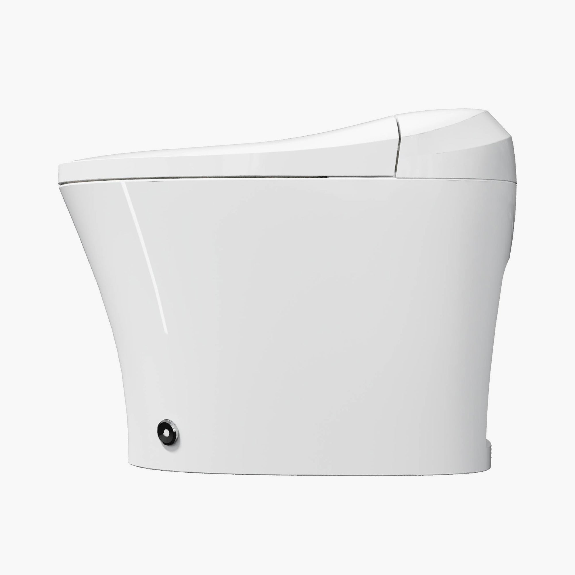 HOROW Toilet with Bidet and ADA Model T16A