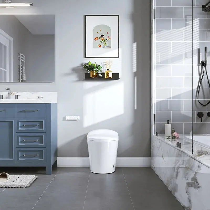 HOROW Best Bidet Toilet Automatic Flush Toilet Model T20 HOROW