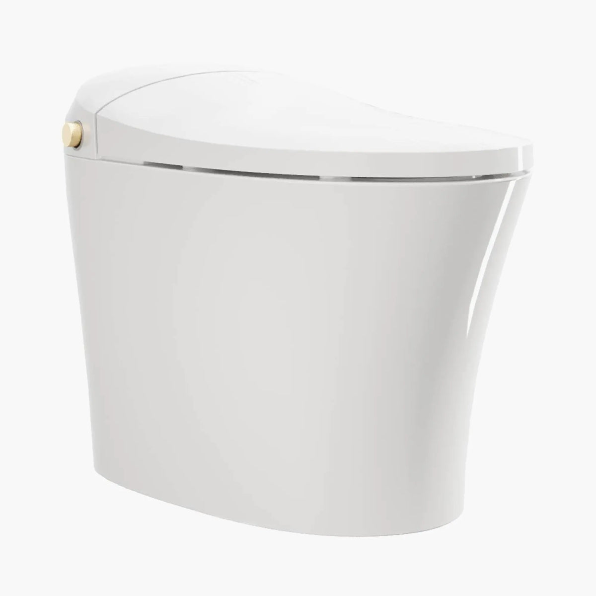 HOROW Best Bidet Toilet Automatic Flush Toilet Model T20 HOROW