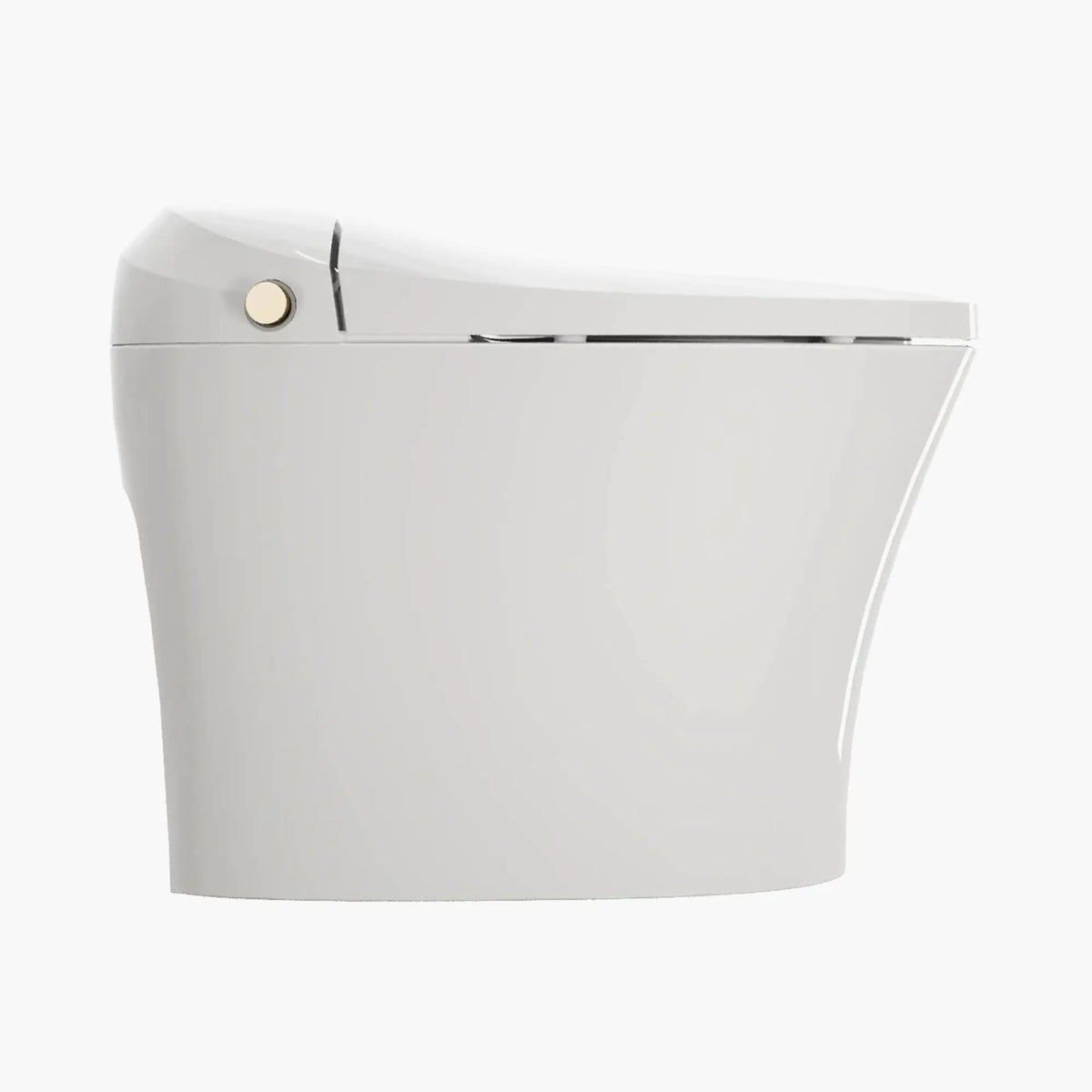 HOROW Best Bidet Toilet Automatic Flush Toilet Model T20 HOROW
