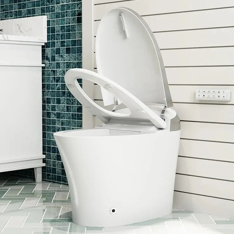 HOROW Best Smart Toilet Warm Water Bidet Toilet Model T20Y HOROW