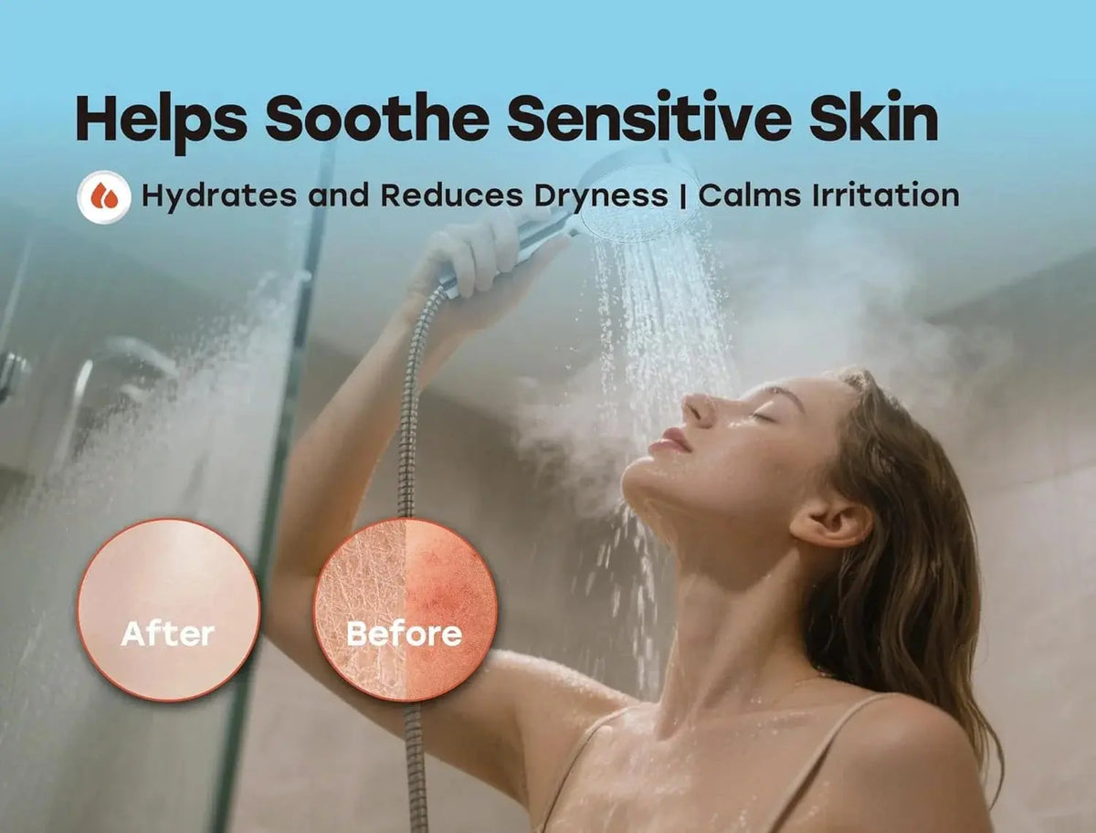 Filtered Shower Head with Handheld – High Pressure Spray Model HS01 HOROW