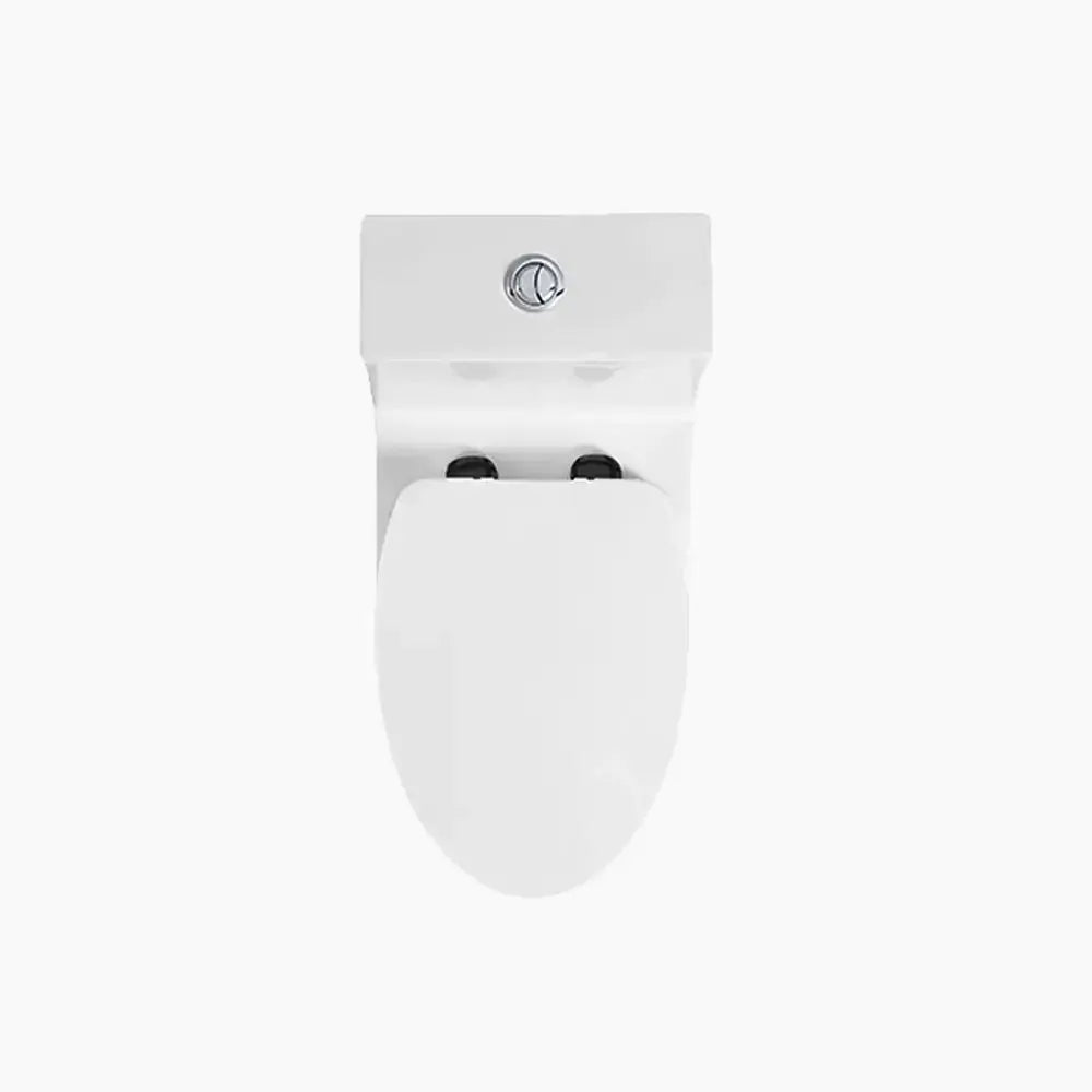 HOROW Best Floor Mounted Elongated Seat One Piece Toilet Model HWMT138 HOROW