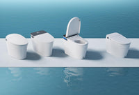 Smart Toilets
