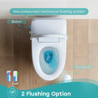 Bidet Toilet with Non electric Seat for 12 Inch Rough in Model T30