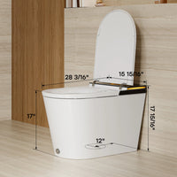 Manufacturer HOROW X70 Smart Toilet With ADA & Dual Flush