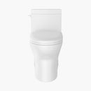 HOROW Comfort Height Elongated Toilet Single Flush 1 Piece Toilet Model ST076W