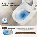 HOROW N30 Non-Electric Bidet Toilet with Comfort Chair Height
