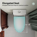 HOROW Dual Flush Toilet 12 Inch Rough In Toilet Model 76D