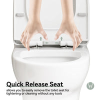 HOROW Dual Flush Toilet 12 Inch Rough In Toilet Model 76D