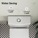 HOROW Dual Flush Toilet 12 Inch Rough In Toilet Model 76D