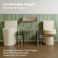 12 Inch Rough In Toilet With Biscuit Color Model T0338WBC