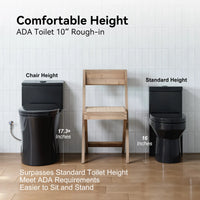 HOROW 10 Inch Rough In Toilet Black One Piece Toilet Model T0338B-10