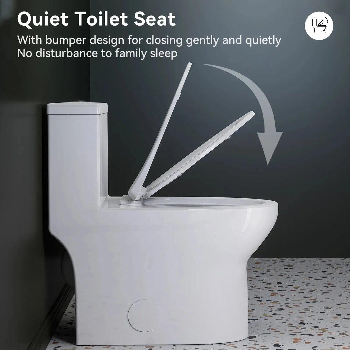 HOROW One Piece Toilet ADA Toilet Height 17.3 Inch Model T0350W HOROW
