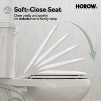 Elongated 2 Piece Toilet with Single Flush and ADA Model HWTT - E03S