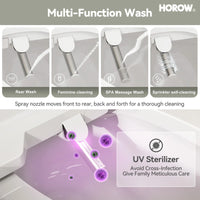Elongated Toilet Seat with Bidet and Heated Model B0403