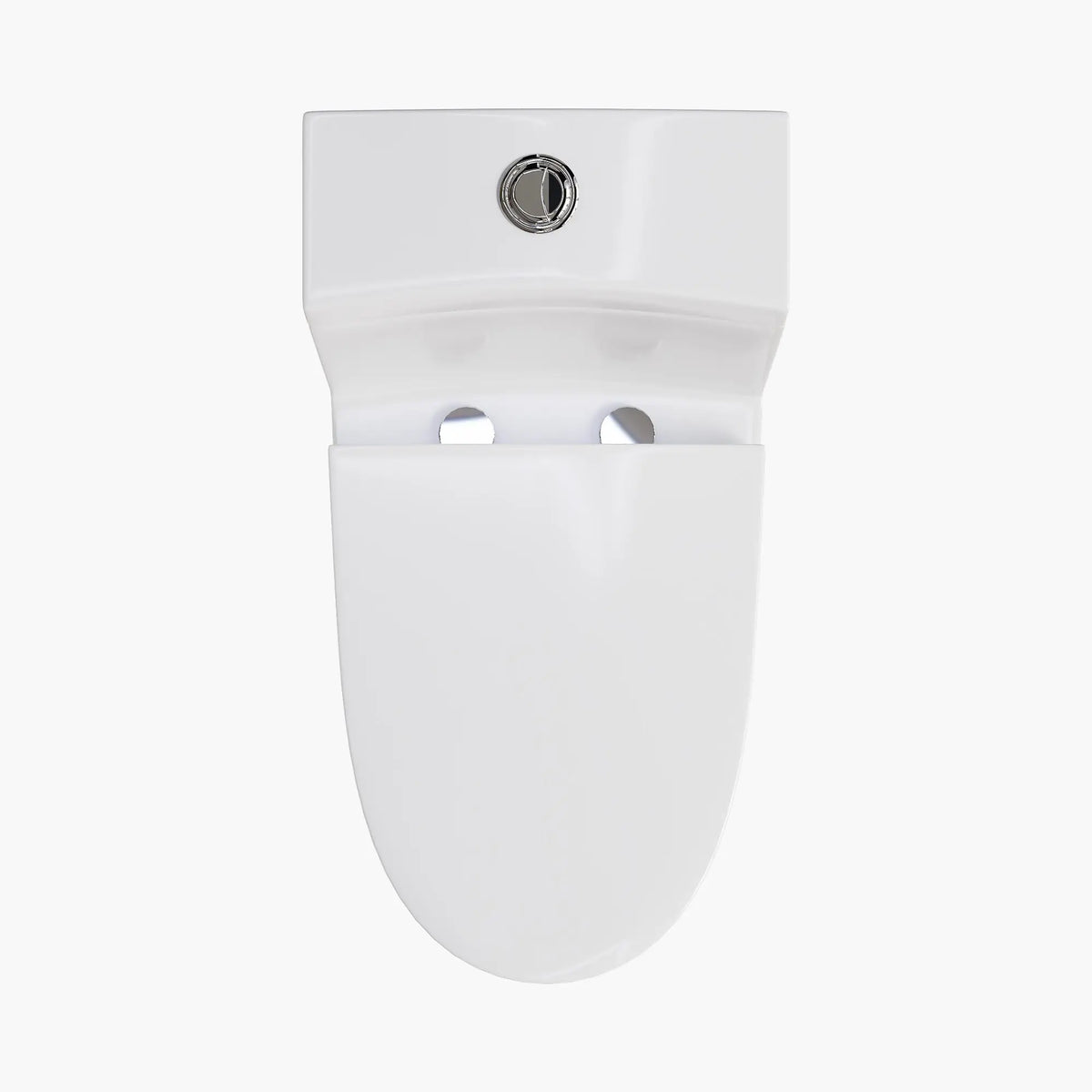 HOROW Compact Elongated Toilet One Piece Dual Flush 1.1 OR 1.6 GPF Toilet Model T0280W HOROW