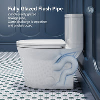 One Piece Skirted Toilet with Power Flush for 12 Inch Rough In Model T0307W