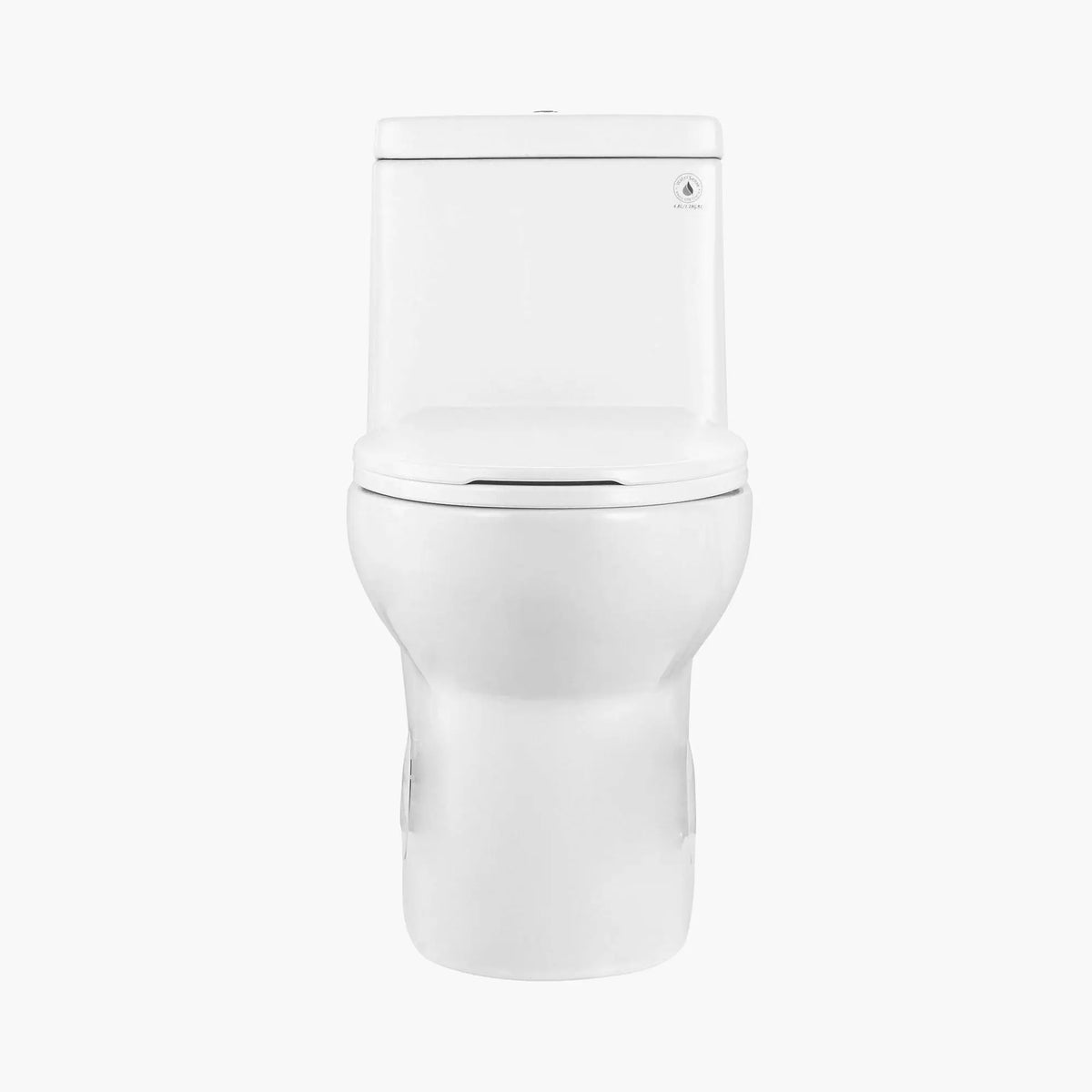 HOROW 12 Inch Rough In Toilet Dual Flush Elongated One Piece Toilet Model T0337W HOROW