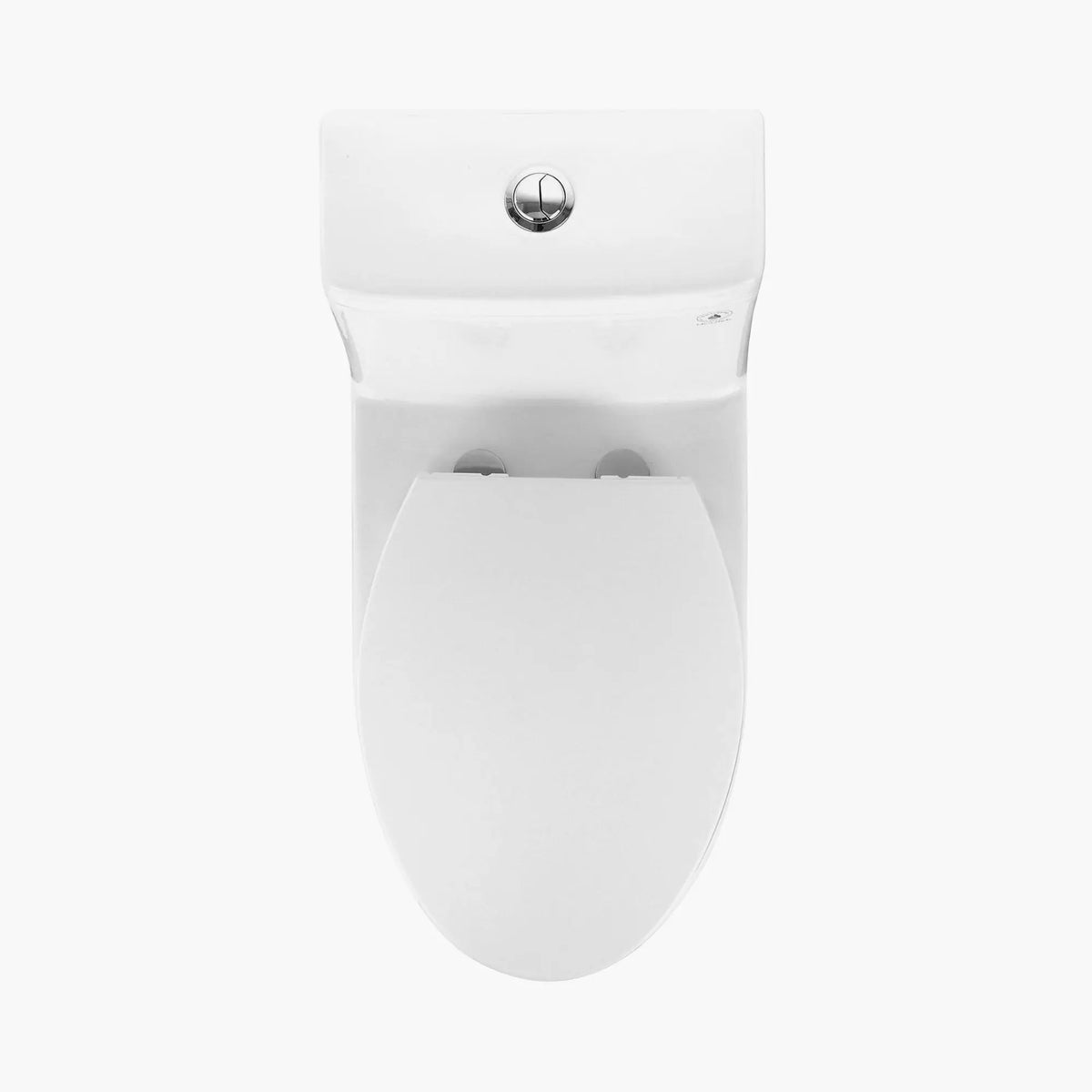 HOROW 12 Inch Rough In Toilet Dual Flush Elongated One Piece Toilet Model T0337W HOROW