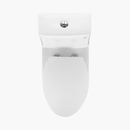 HOROW 12 Inch Rough In Toilet Dual Flush Elongated One Piece Toilet Model T0337W