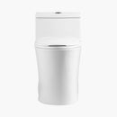 HOROW 10 Inch Rough Toilet Bowl Elongated One Piece Toilet Model T0338W-10
