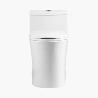 HOROW 10 Inch Rough Toilet Bowl Elongated One Piece Toilet Model T0338W-10