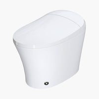 12 Inch Rough In Bidet Toilet with Automatic Flush Model T15