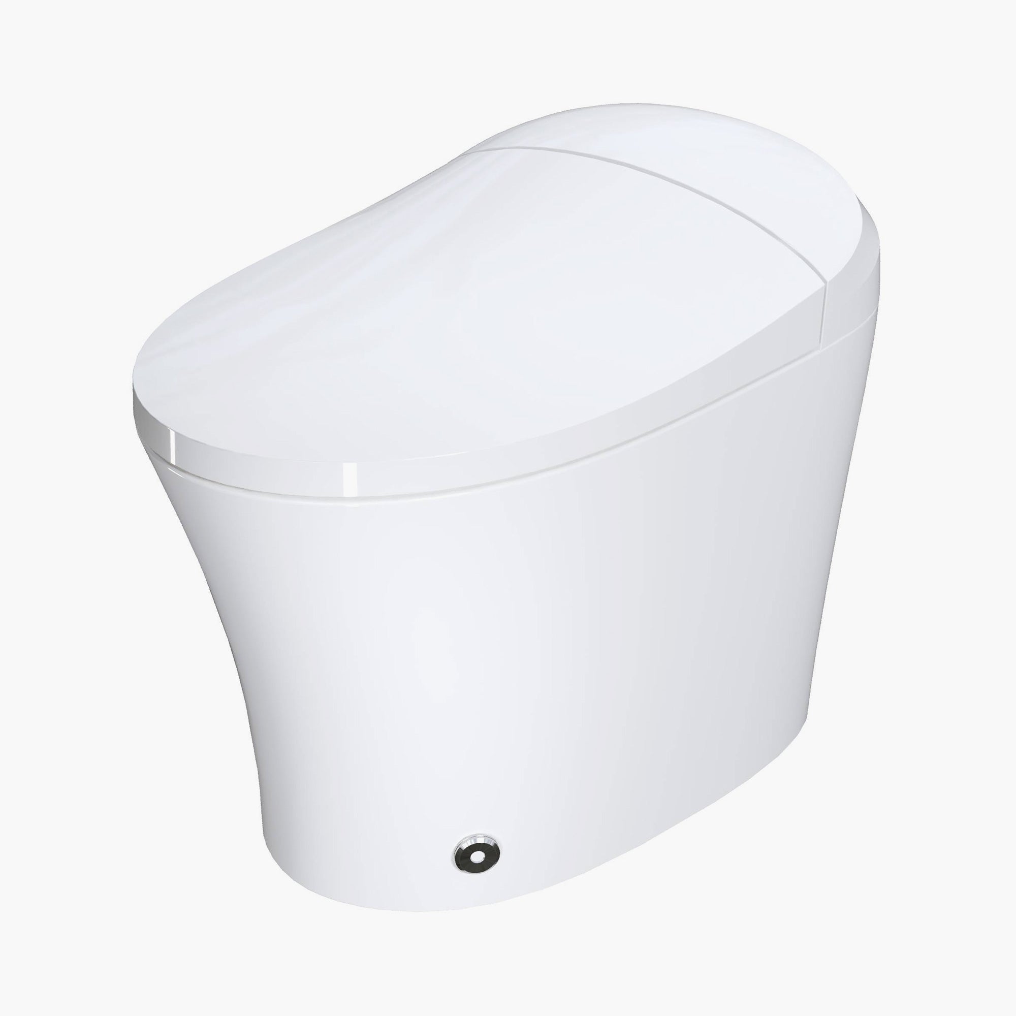 12 Inch Rough In Bidet Toilet with Automatic Flush Model T15