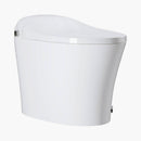 12 Inch Rough In Bidet Toilet with Automatic Flush Model T15