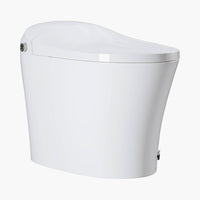 12 Inch Rough In Bidet Toilet with Automatic Flush Model T15