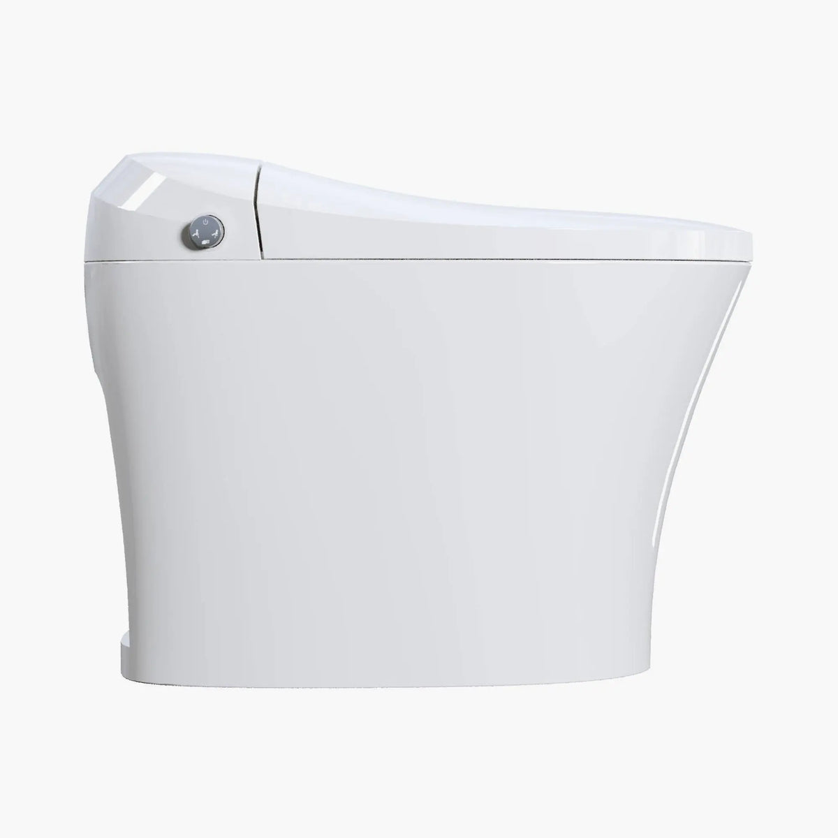 12 Inch Rough In Bidet Toilet with Automatic Flush Model T15 HOROW
