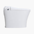 12 Inch Rough In Bidet Toilet with Automatic Flush Model T15