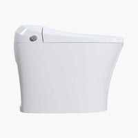 12 Inch Rough In Bidet Toilet with Automatic Flush Model T15